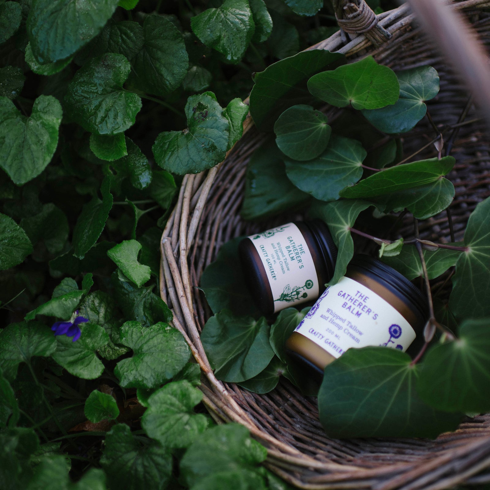 Two cosmetic jars with white labels rest in a woven wicker basket surrounded by green leaves outdoors.