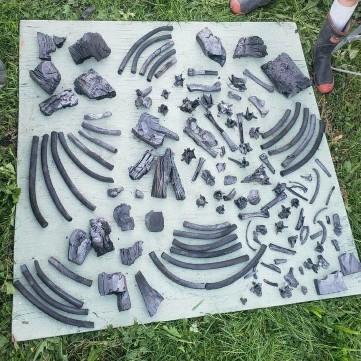 Collection of biochar on a wooden board outdoors