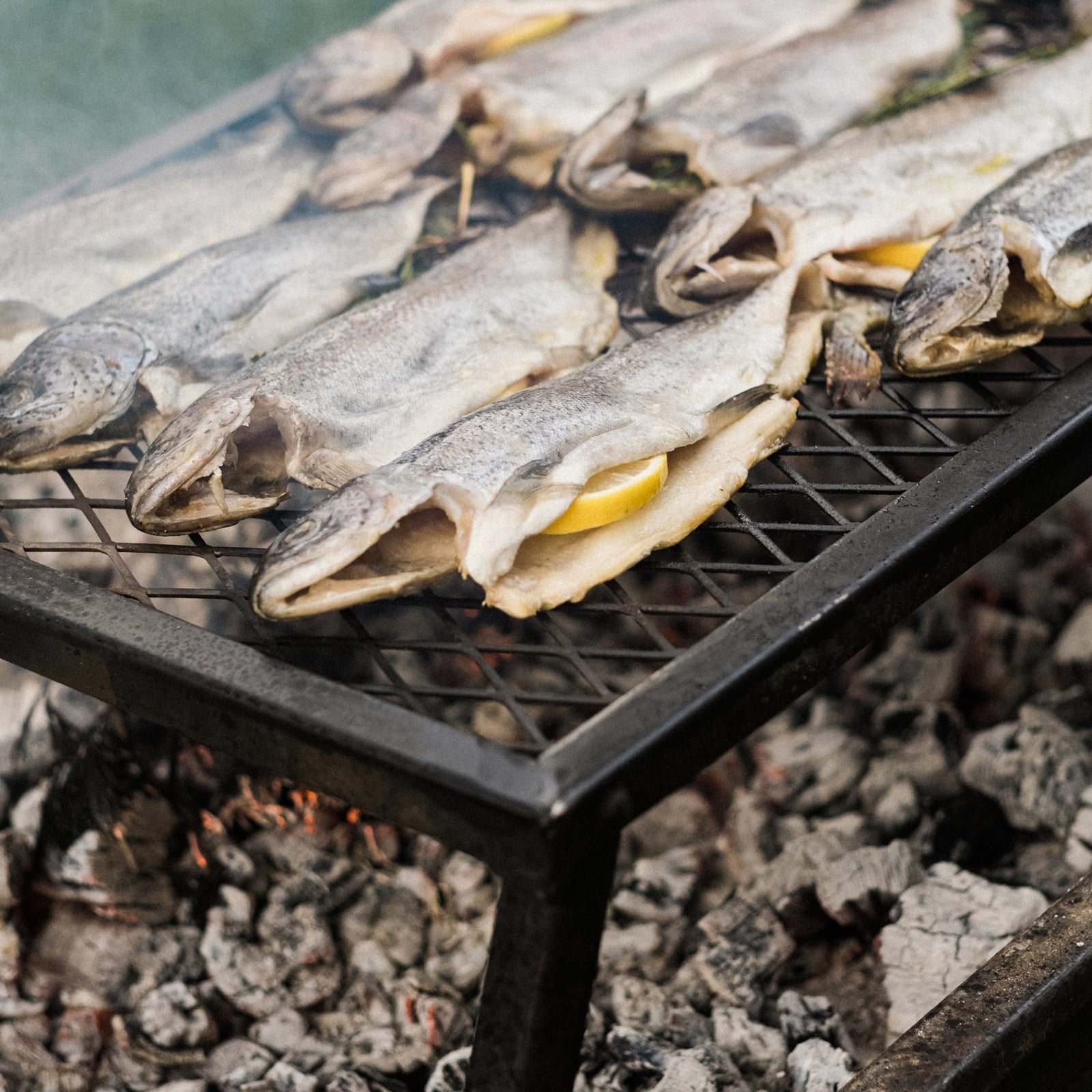 BAREBONES | HEAVY DUTY GRILL GRATE