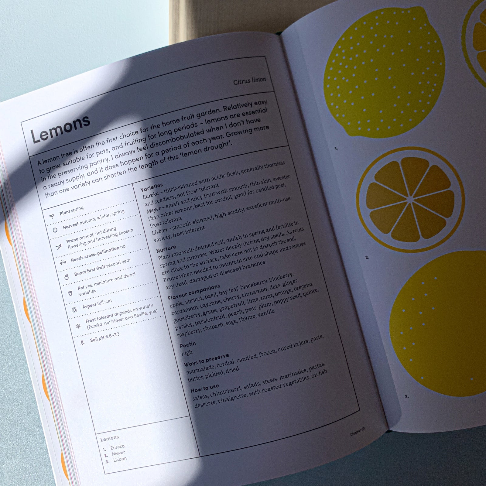 THE PRESERVING GARDEN