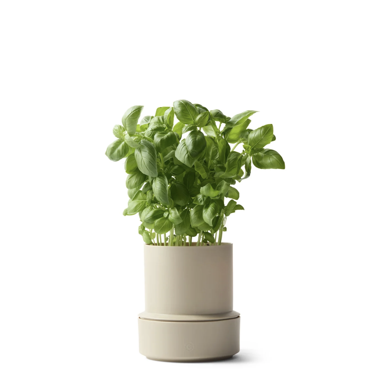 CRUSHGRIND BILLUND SELF WATERING POT
