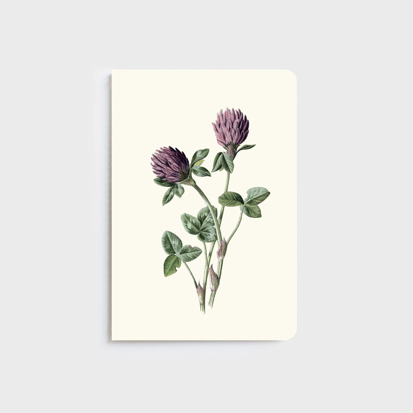 FATHER RABBIT STATIONERY | A5 NOTEBOOKS