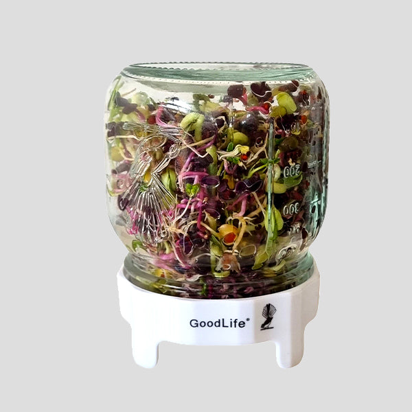 GOODLIFE | SPICY SPROUTING MIX