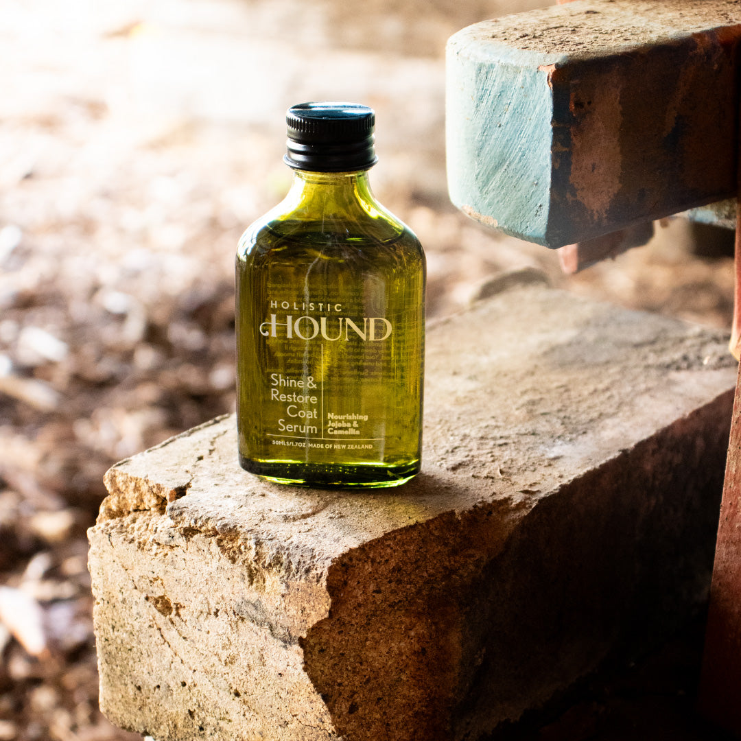 HOLISTIC HOUND | SHINE & RESTORE COAT SERUM