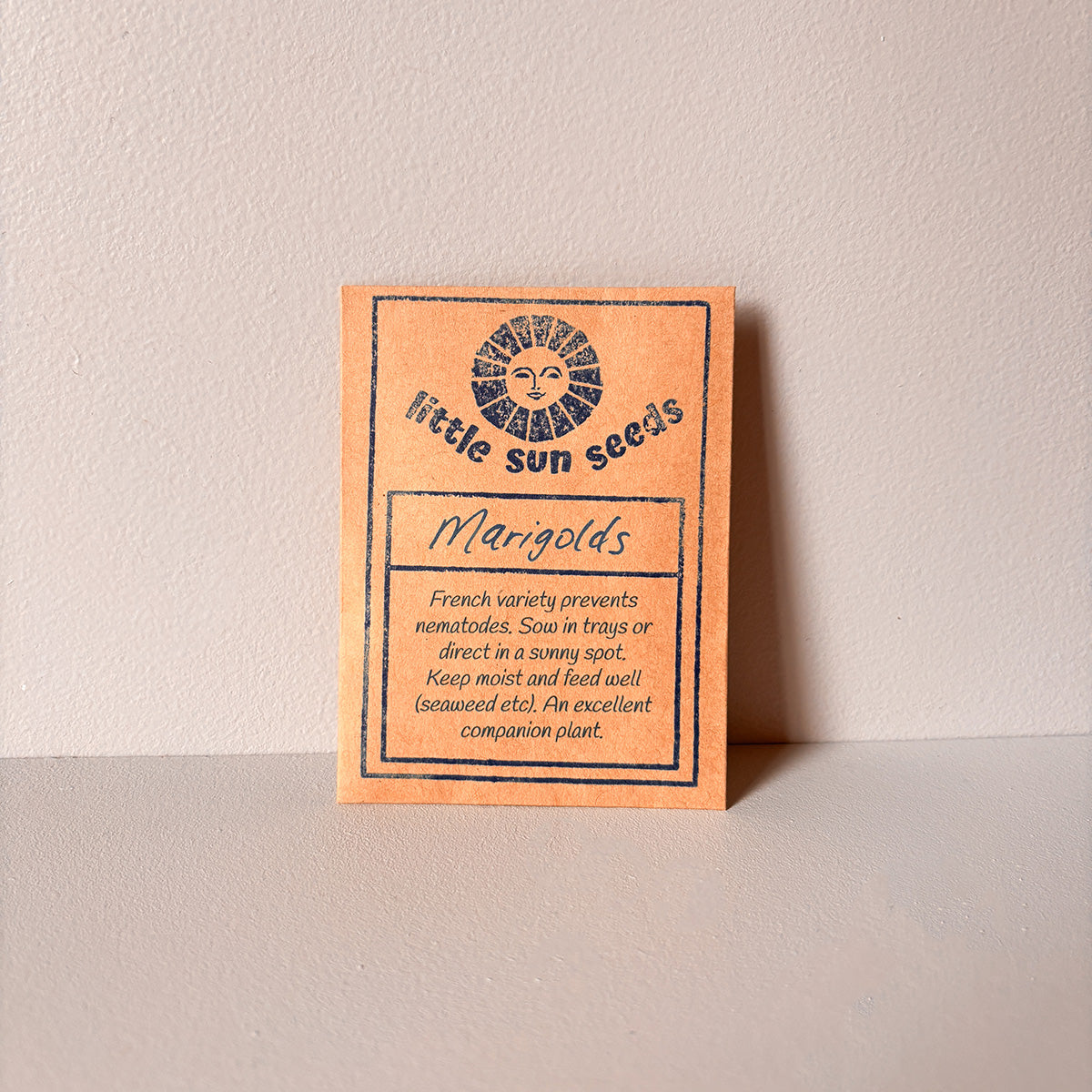 LITTLE SUN SEEDS | FRENCH MARIGOLD