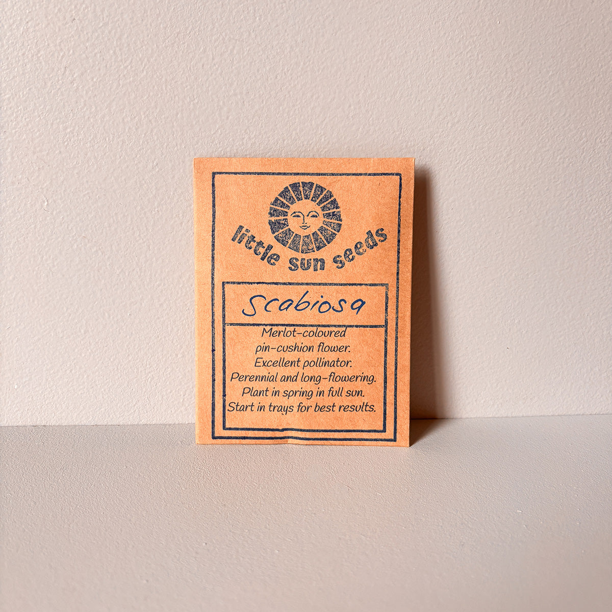 LITTLE SUN SEEDS | DARK PLUM SCABIOSA