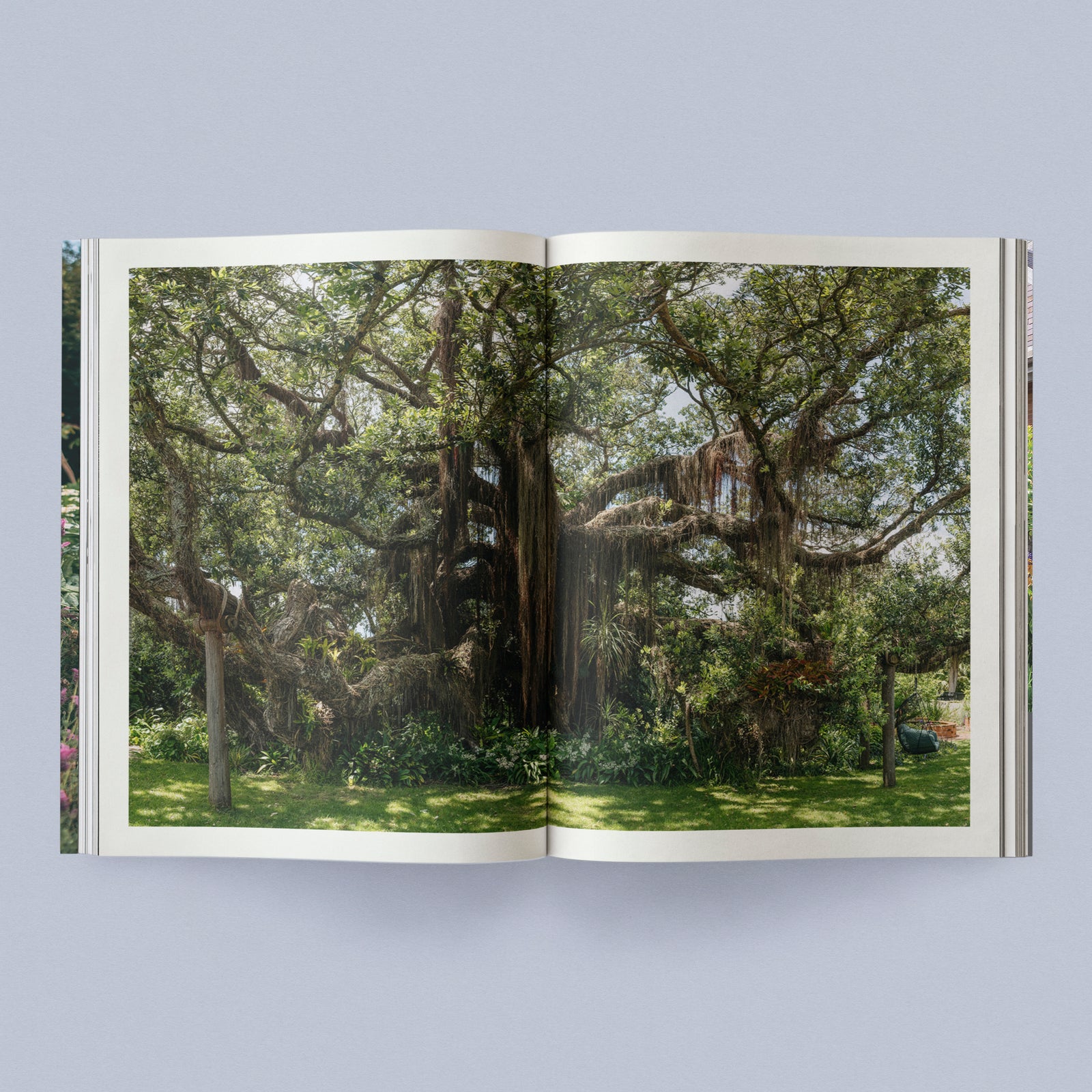 Sage Journal - Vol. 2: Our Creative Nature