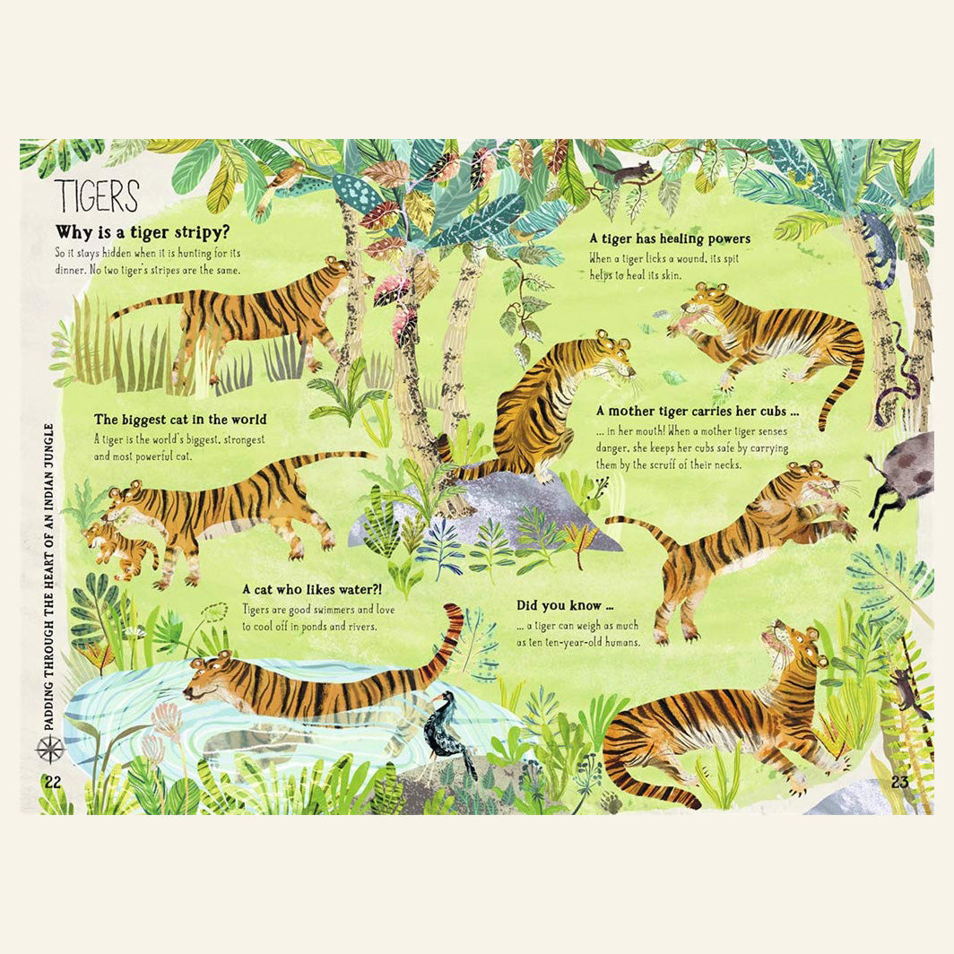 THE BIG BOOK OF BEASTS | YUVAL ZOMMER