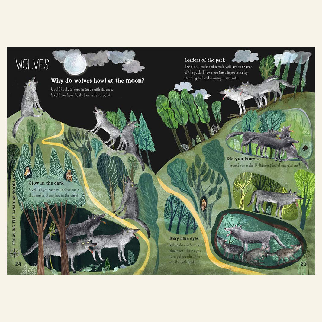 THE BIG BOOK OF BEASTS | YUVAL ZOMMER