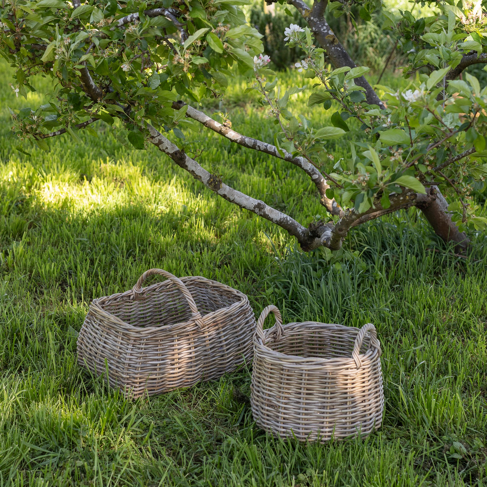 BETTY | RATTAN PICNIC BASKET