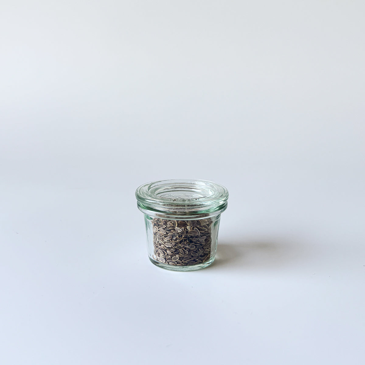 WECK | MINI MOLD JARS
