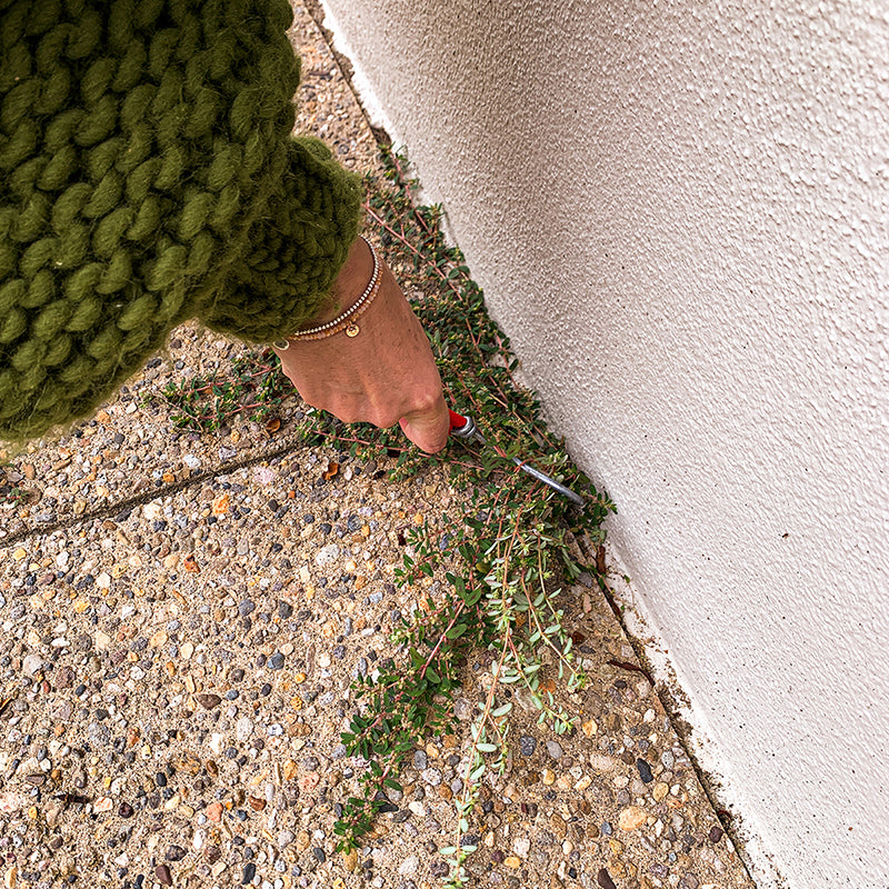 Wonderweeder gardening tool