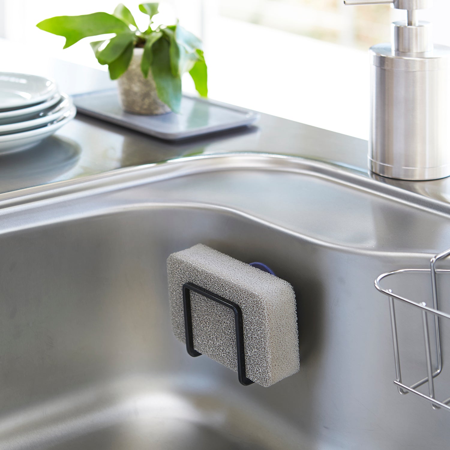 YAMAZAKI | SPONGE HOLDER WITH SUCTION CUP