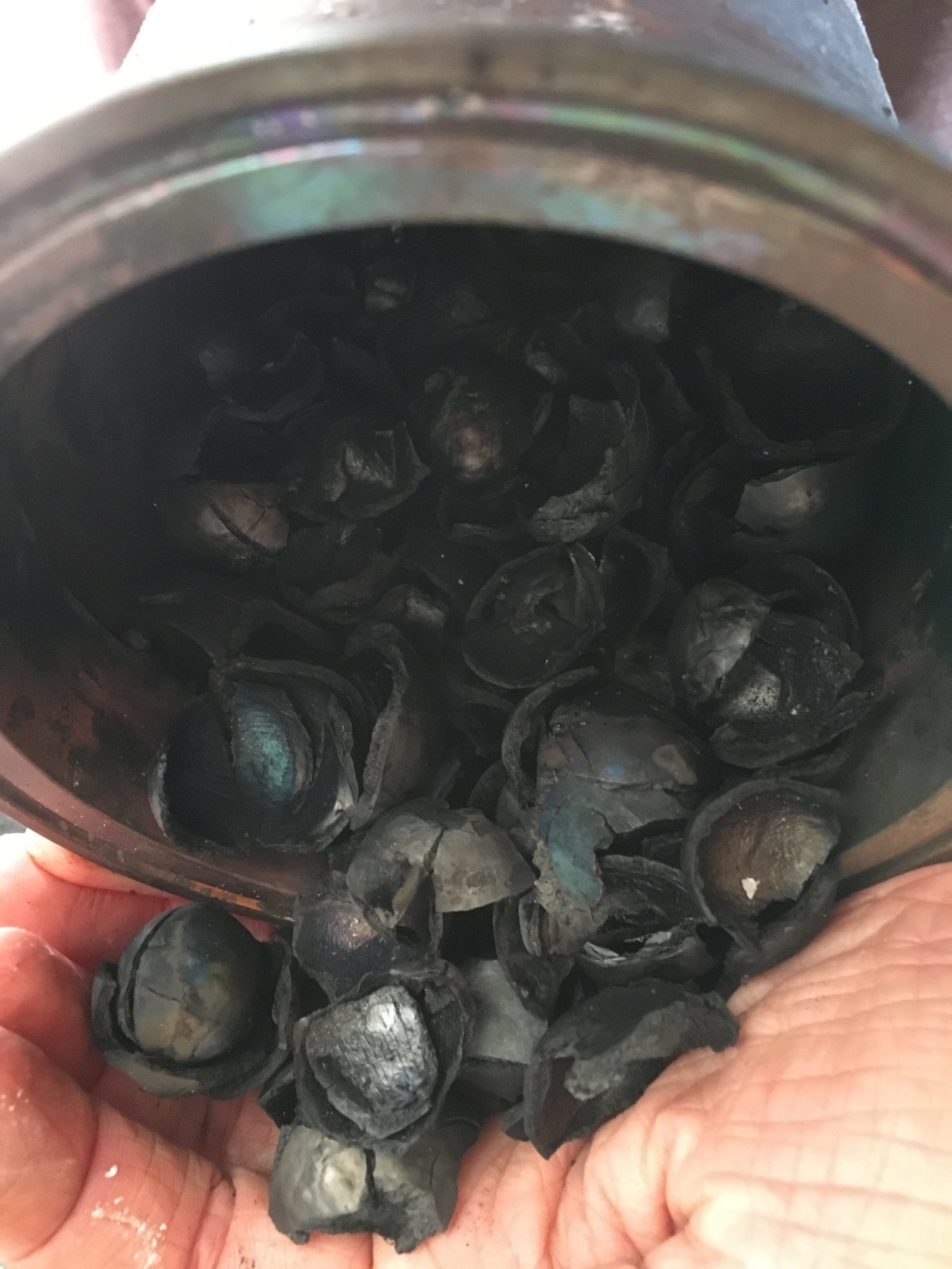 CRAFTY GATHERER | Biochar Burner
