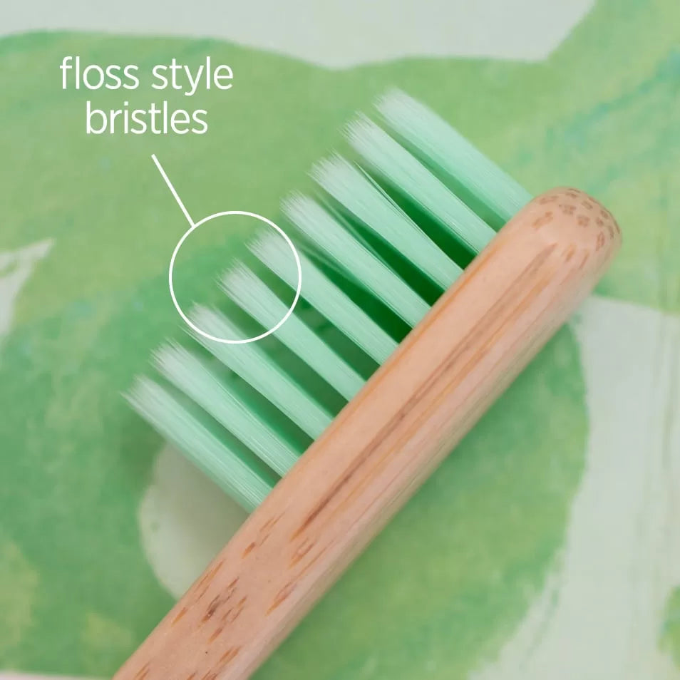 SOLID ORAL | TOOTHBRUSHES