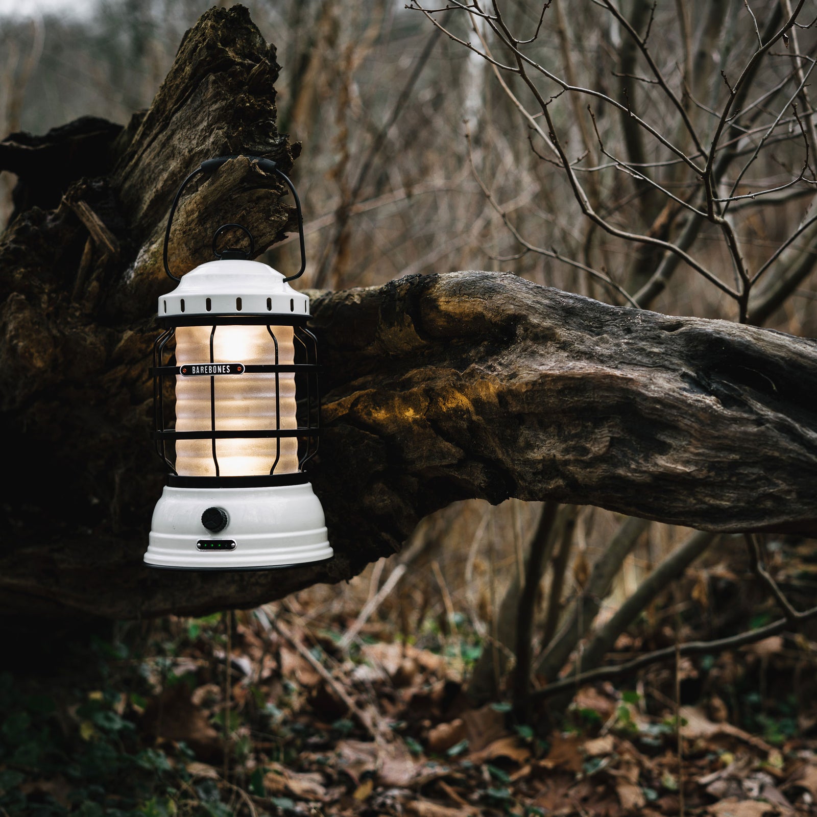 BAREBONES | FOREST LANTERN