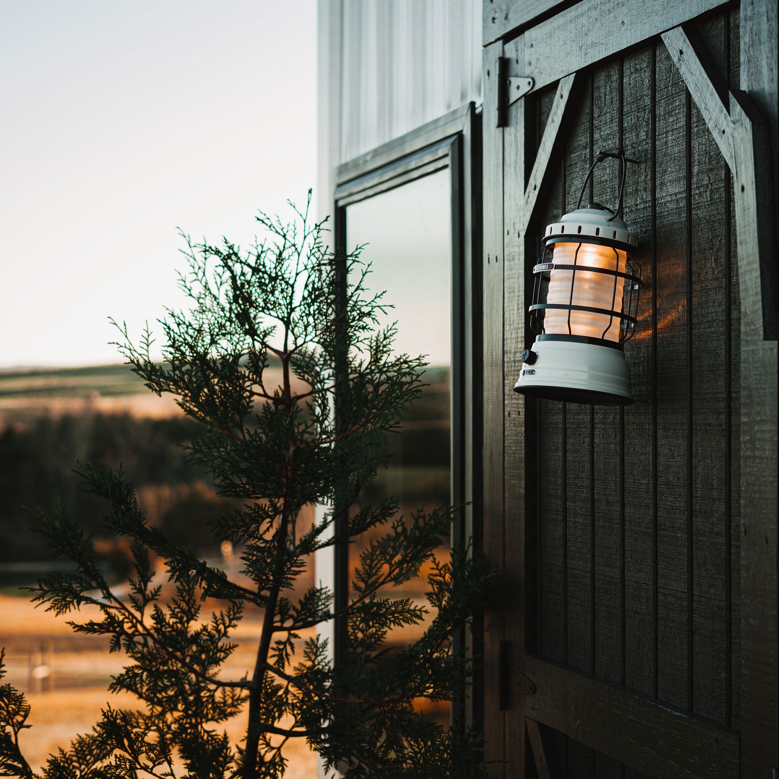 BAREBONES | FOREST LANTERN