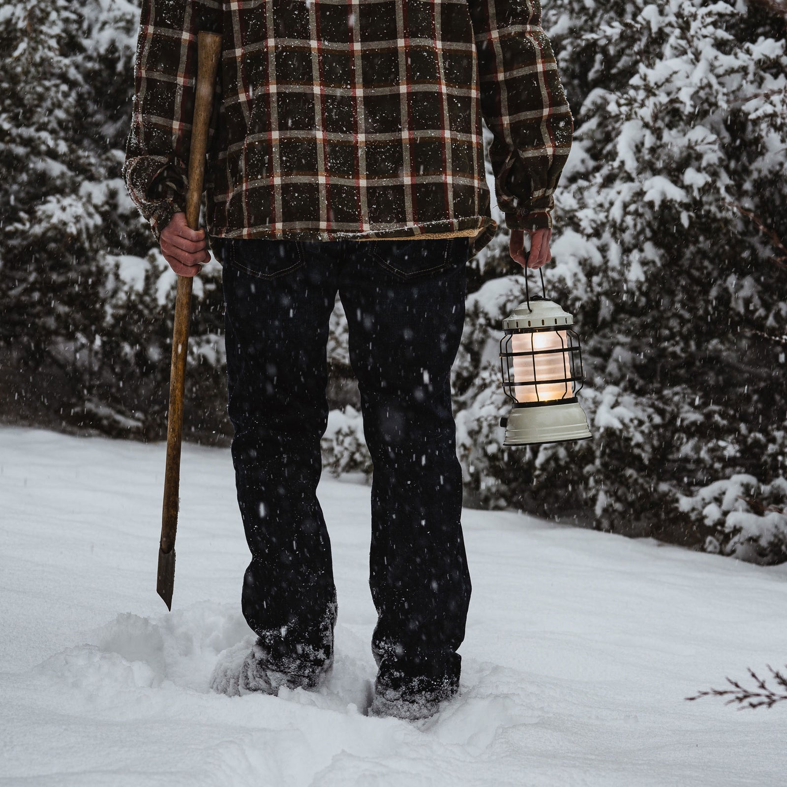 BAREBONES | FOREST LANTERN