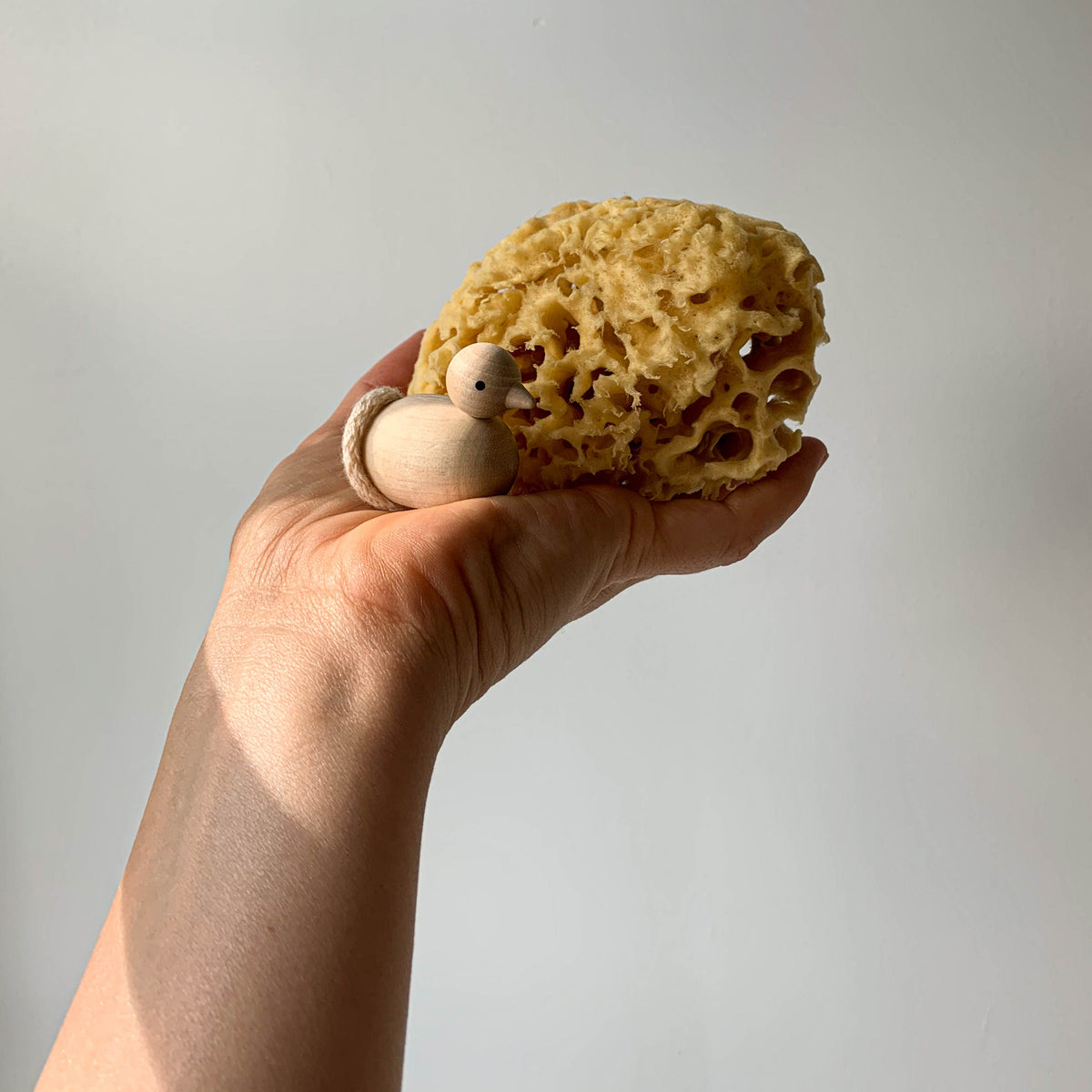 Natural Baby Sponge, with Wooden Duck