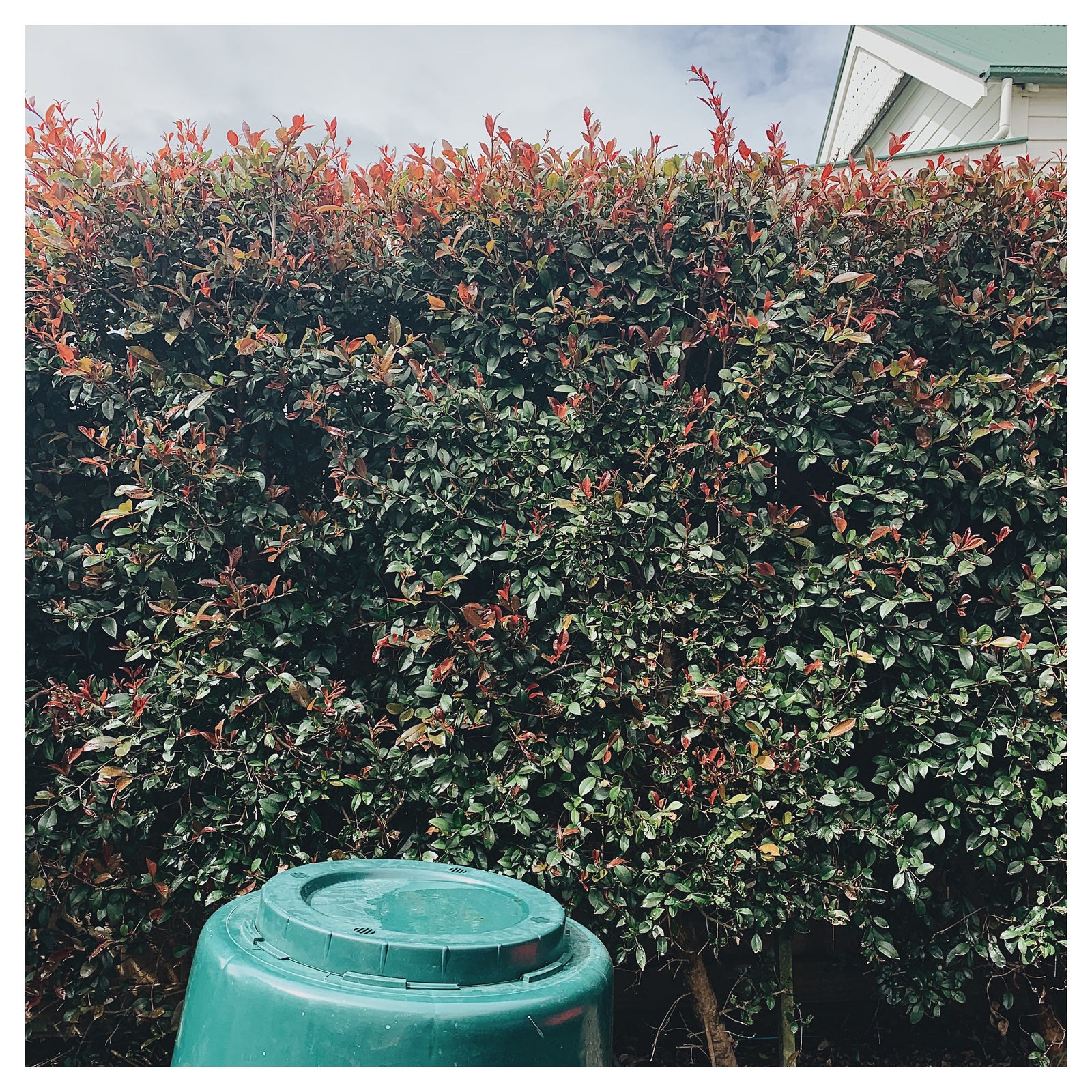 Food Waste Solutions For Everyone