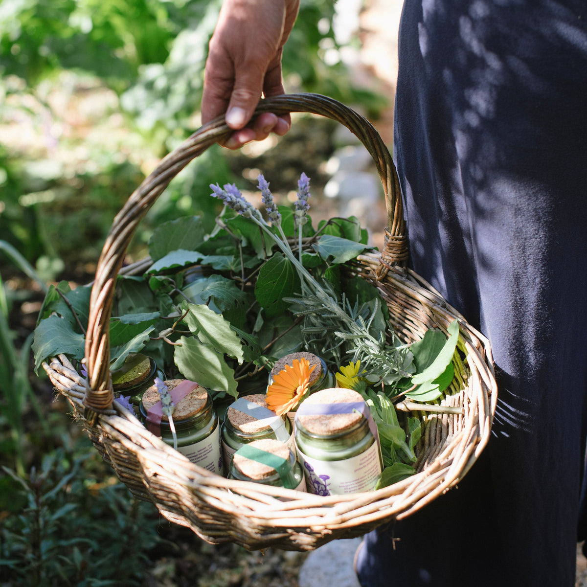 Person holding a woven basket with plants and jars in a garden setting