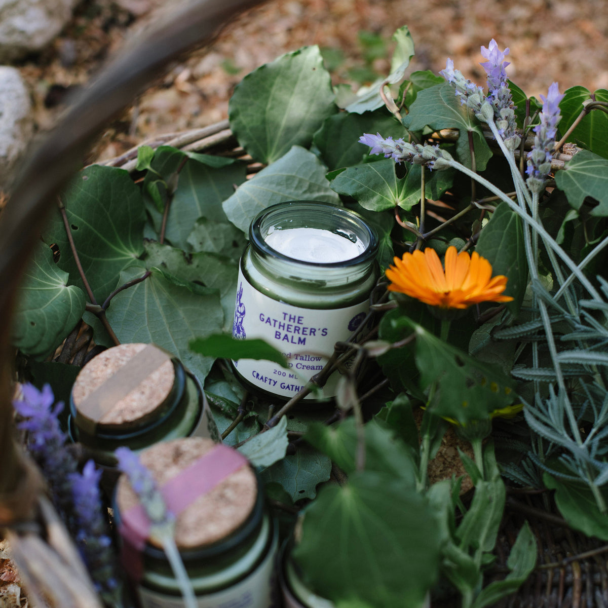Herbal remedies in jars with plants and flowers on a natural background