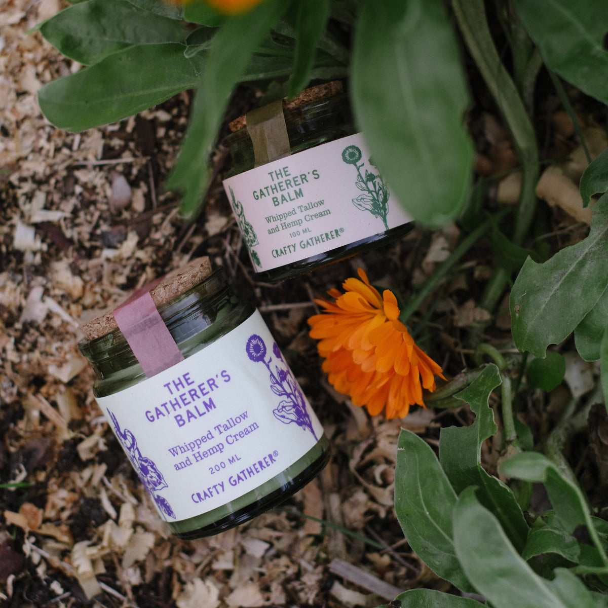 Two small jars labeled 'The Gatherer's Balm' surrounded by calendula flowers on a natural background.
