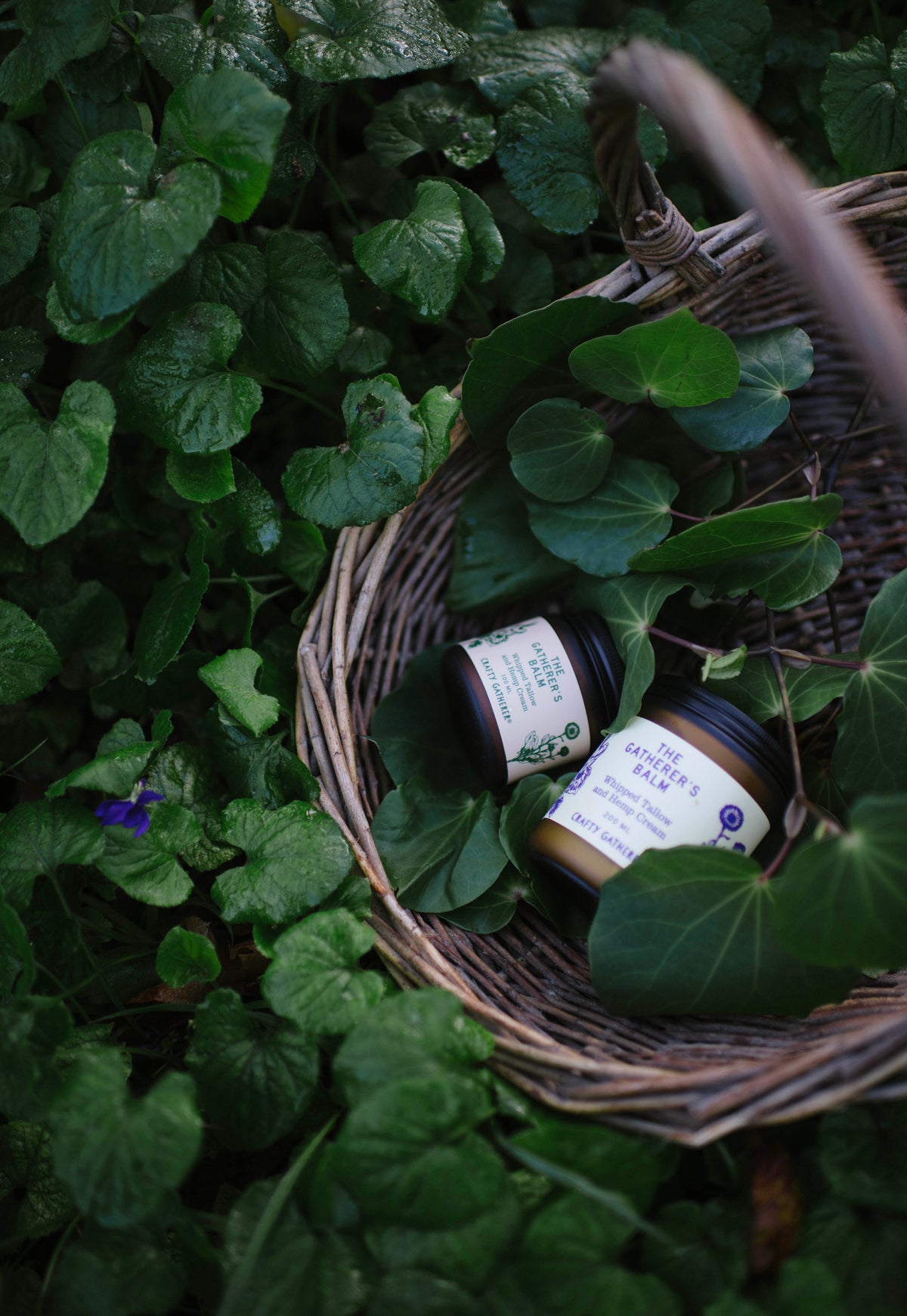 CRAFTY GATHERER | The Gatherer's Balm - Whipped tallow and hemp cream