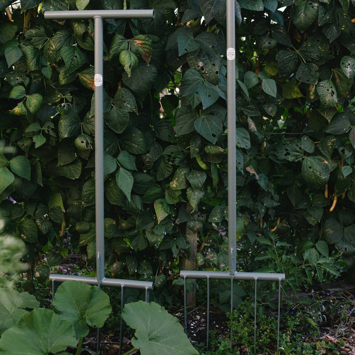 Two metal garden trellises against a leafy green background