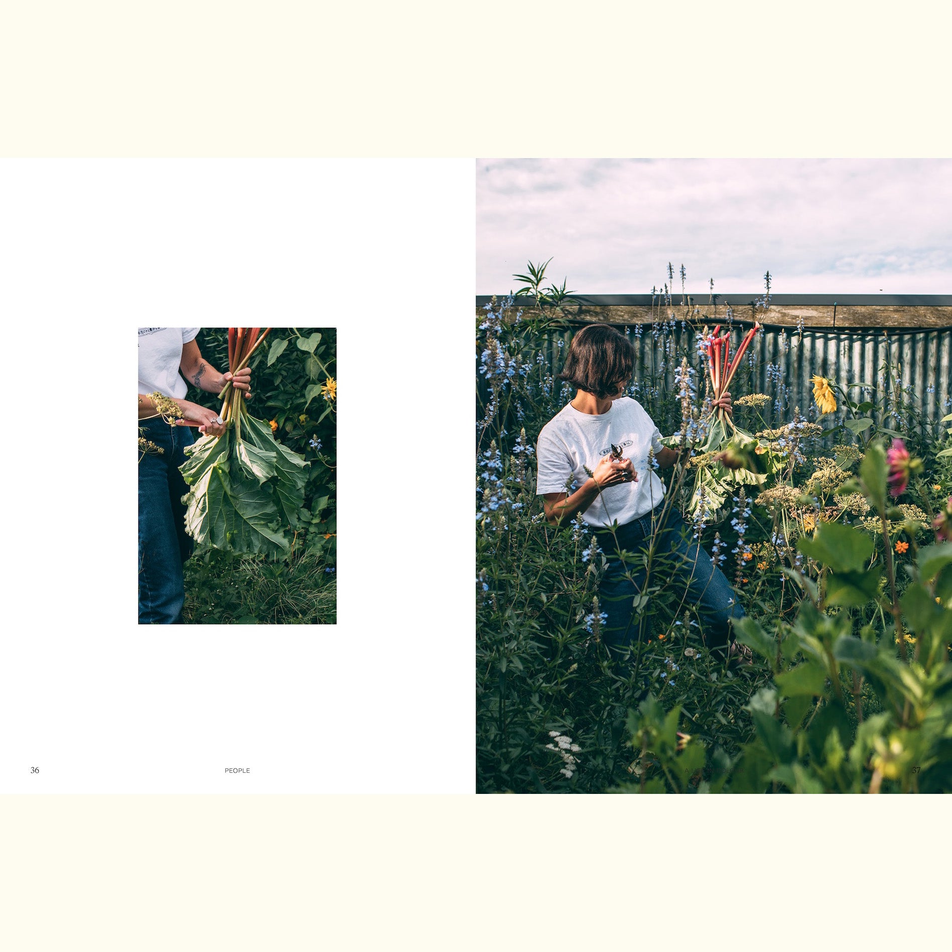 SAGE JOURNAL | VOL. 1