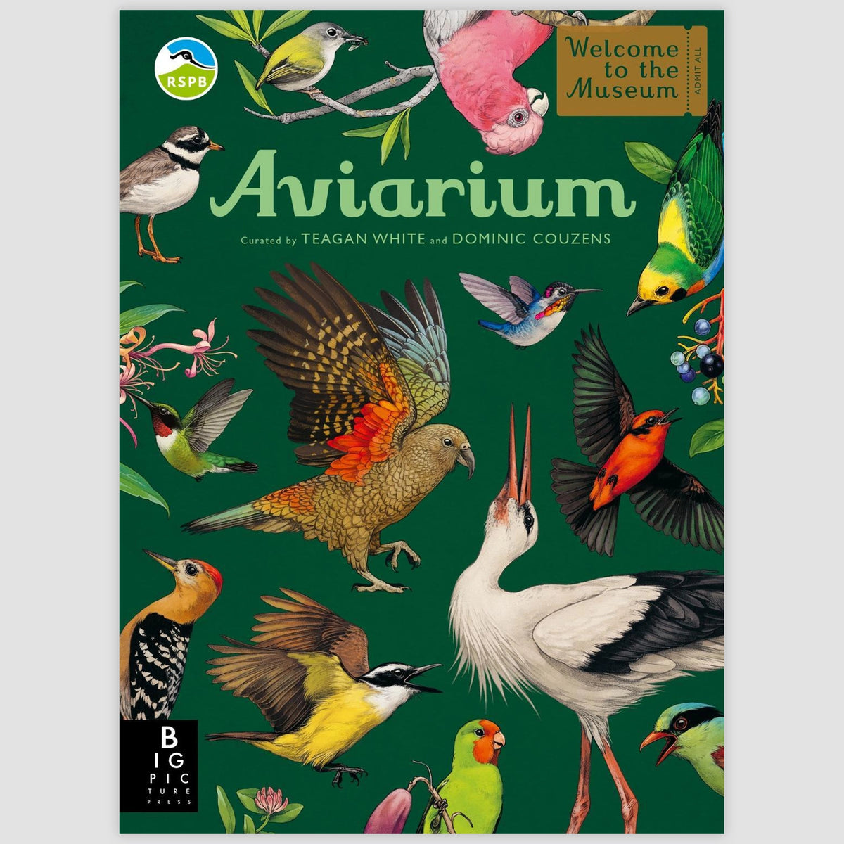 Aviarium - A lavishly illustrated guide to the world of birds. By Dominic Couzens