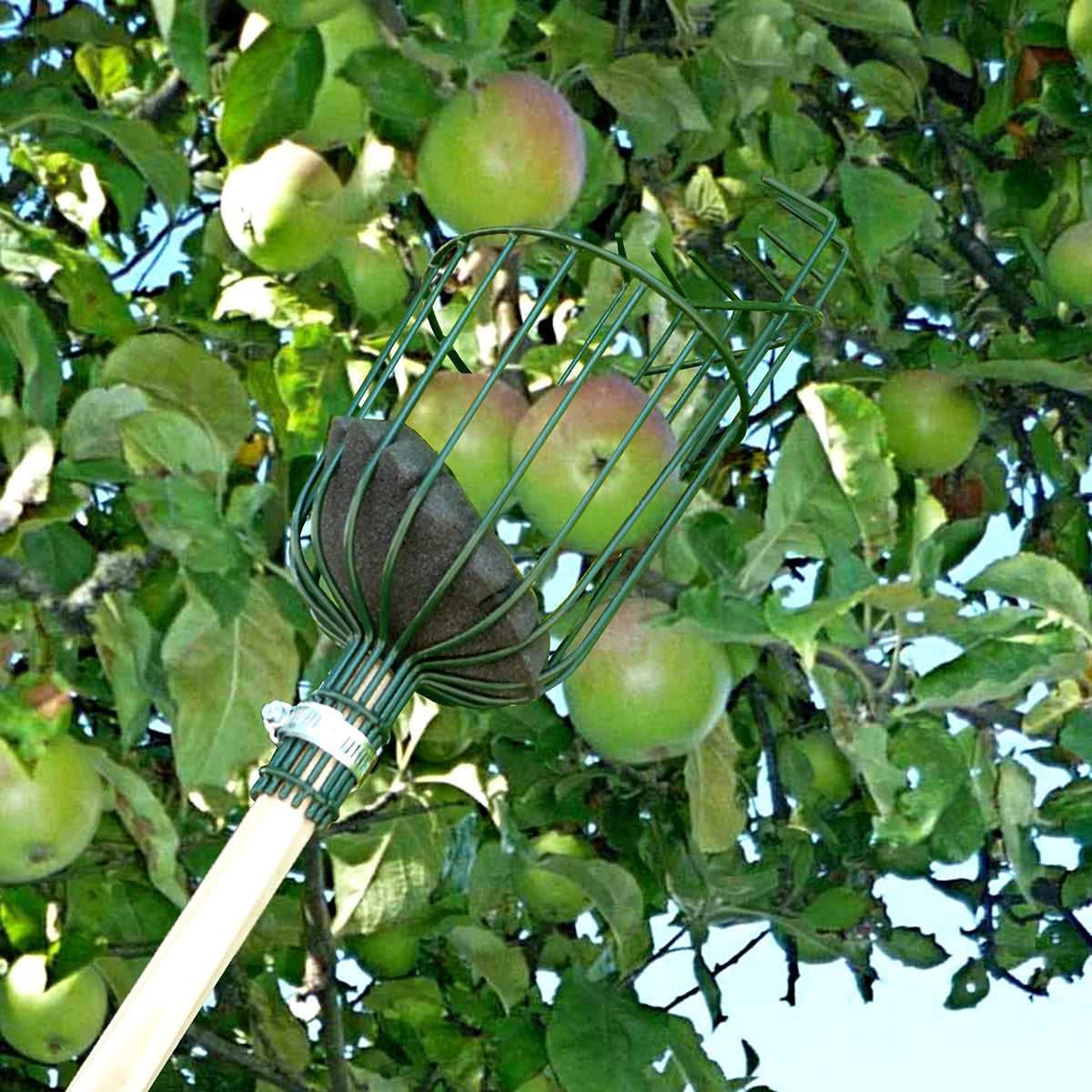 BURGON & BALL | APPLE PICKER - The Waste-Free Home