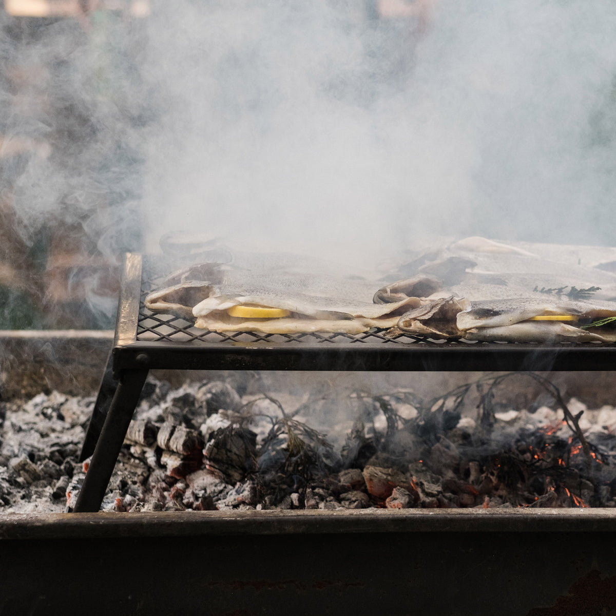 BAREBONES | HEAVY DUTY GRILL GRATE
