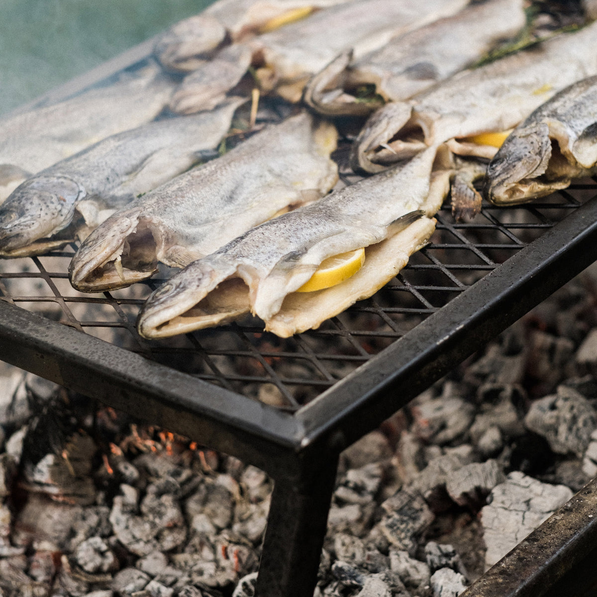 BAREBONES | HEAVY DUTY GRILL GRATE