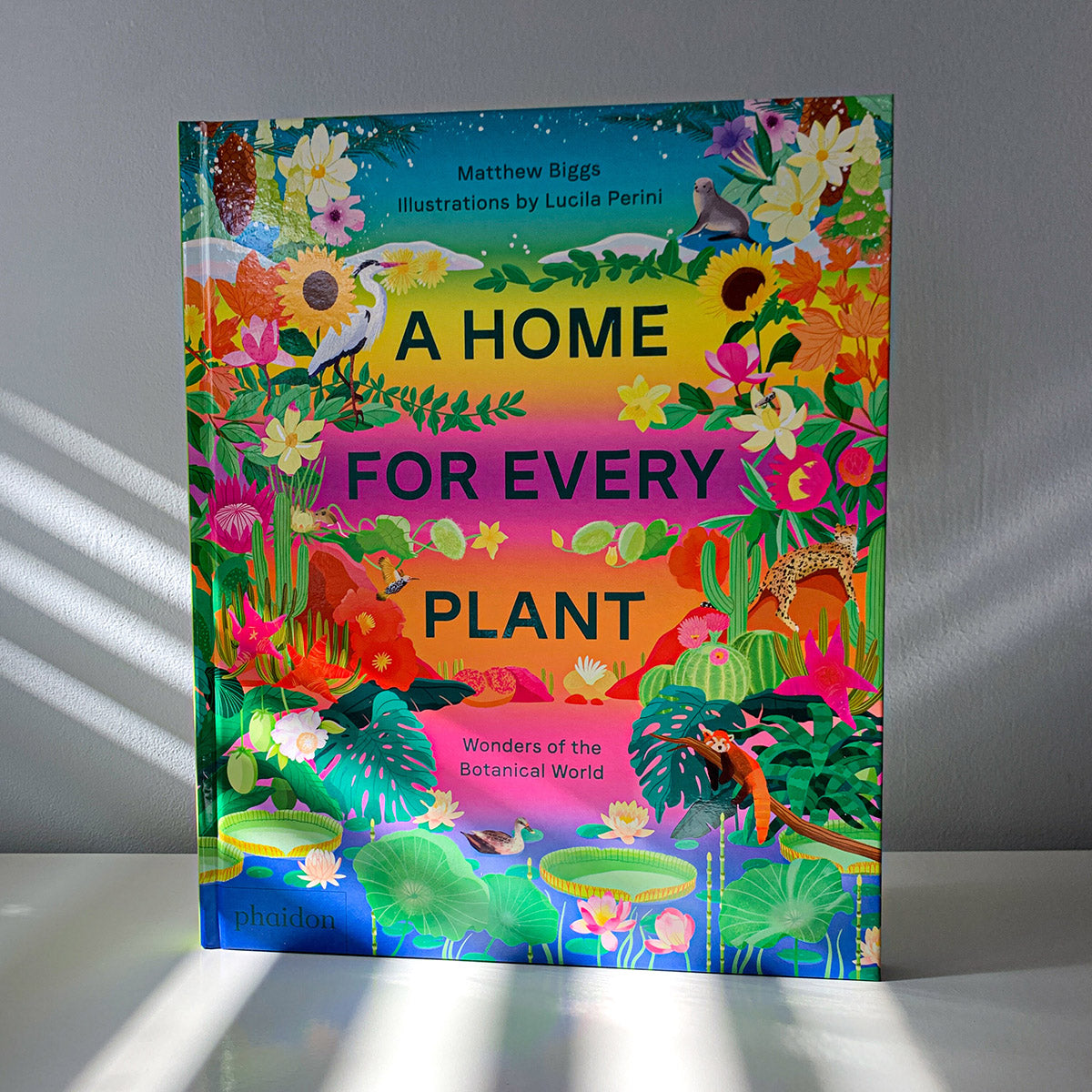 A HOME FOR EVERY PLANT