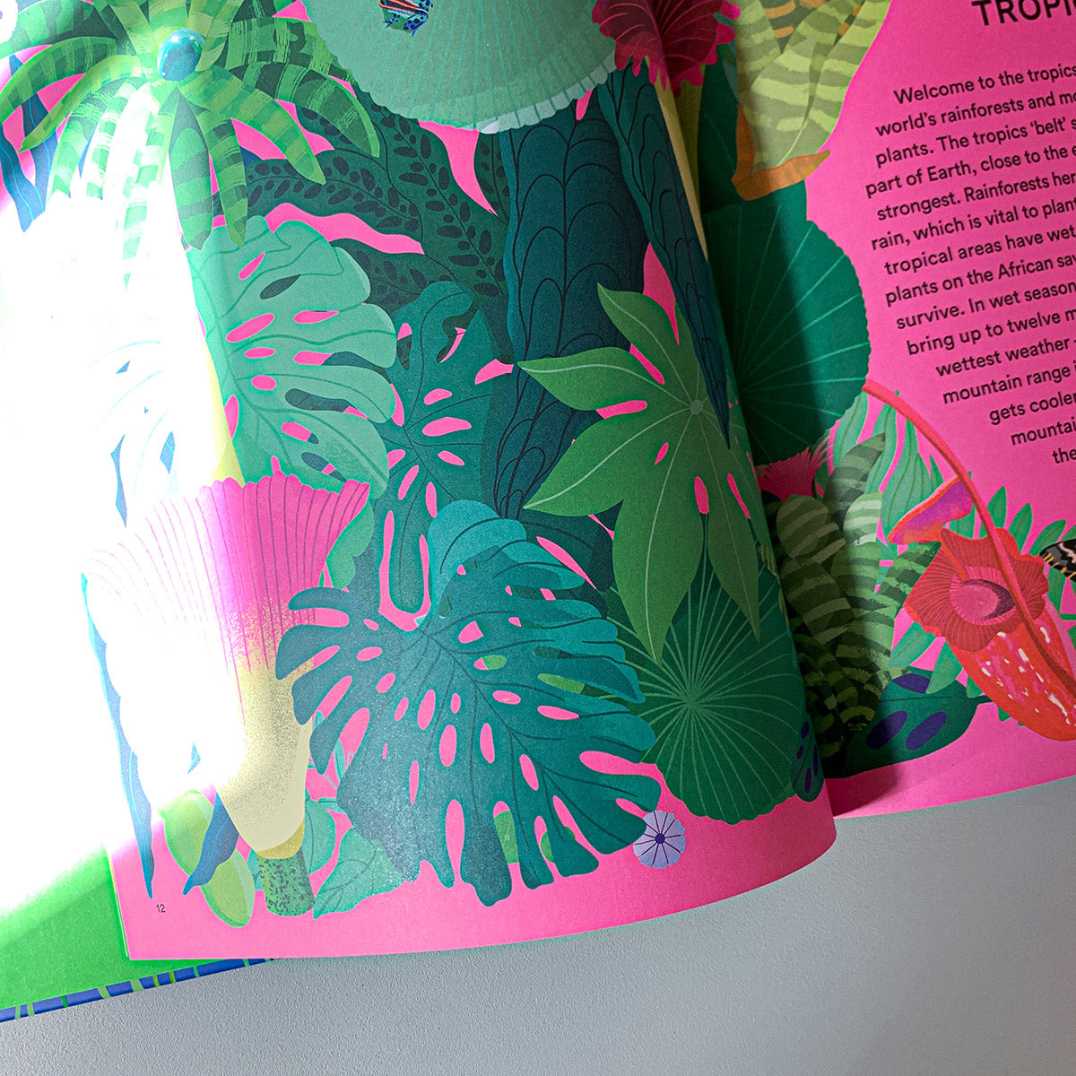 A HOME FOR EVERY PLANT