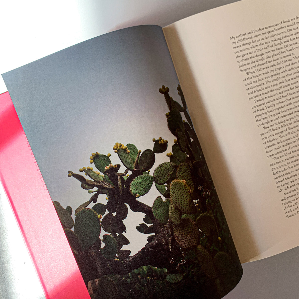 MEXICO: THE COOKBOOK