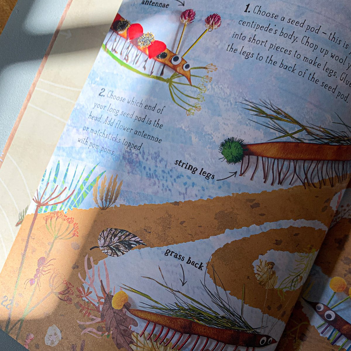 THE BIG BOOK OF NATURE ART | YUVAL ZOMMER