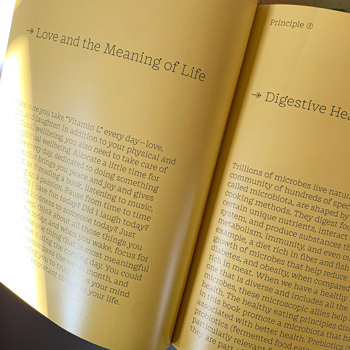 THE WELLNESS PRINCIPLES