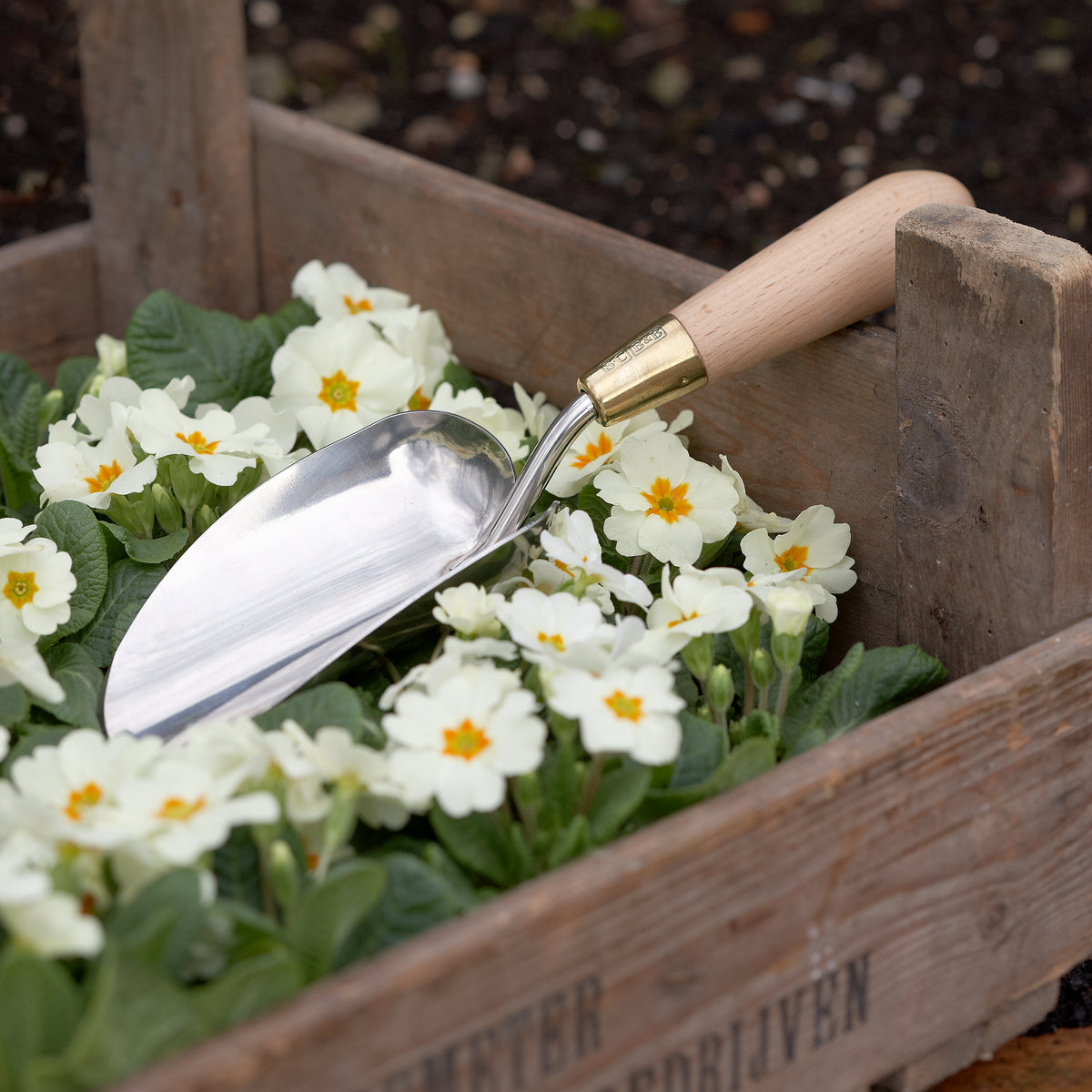 SOPHIE CONRAN | TROWEL