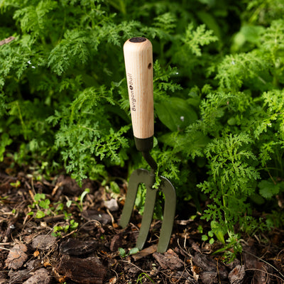 Best Selling Garden & Outdoor