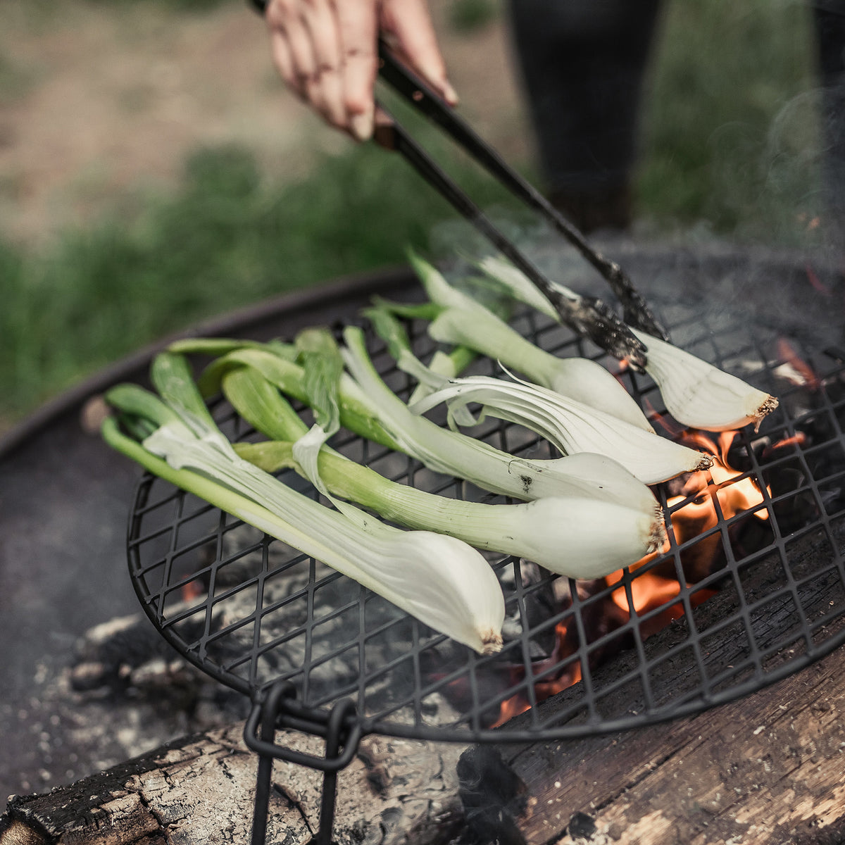 BAREBONES | FIRE PIT GRILL