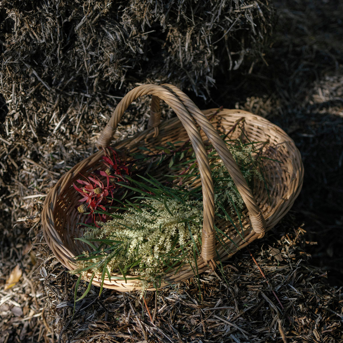 A natural woven wicker basket with two handles, filled with green herbs and red flowers, resting on a bed of dry leaves and mulch outdoors.