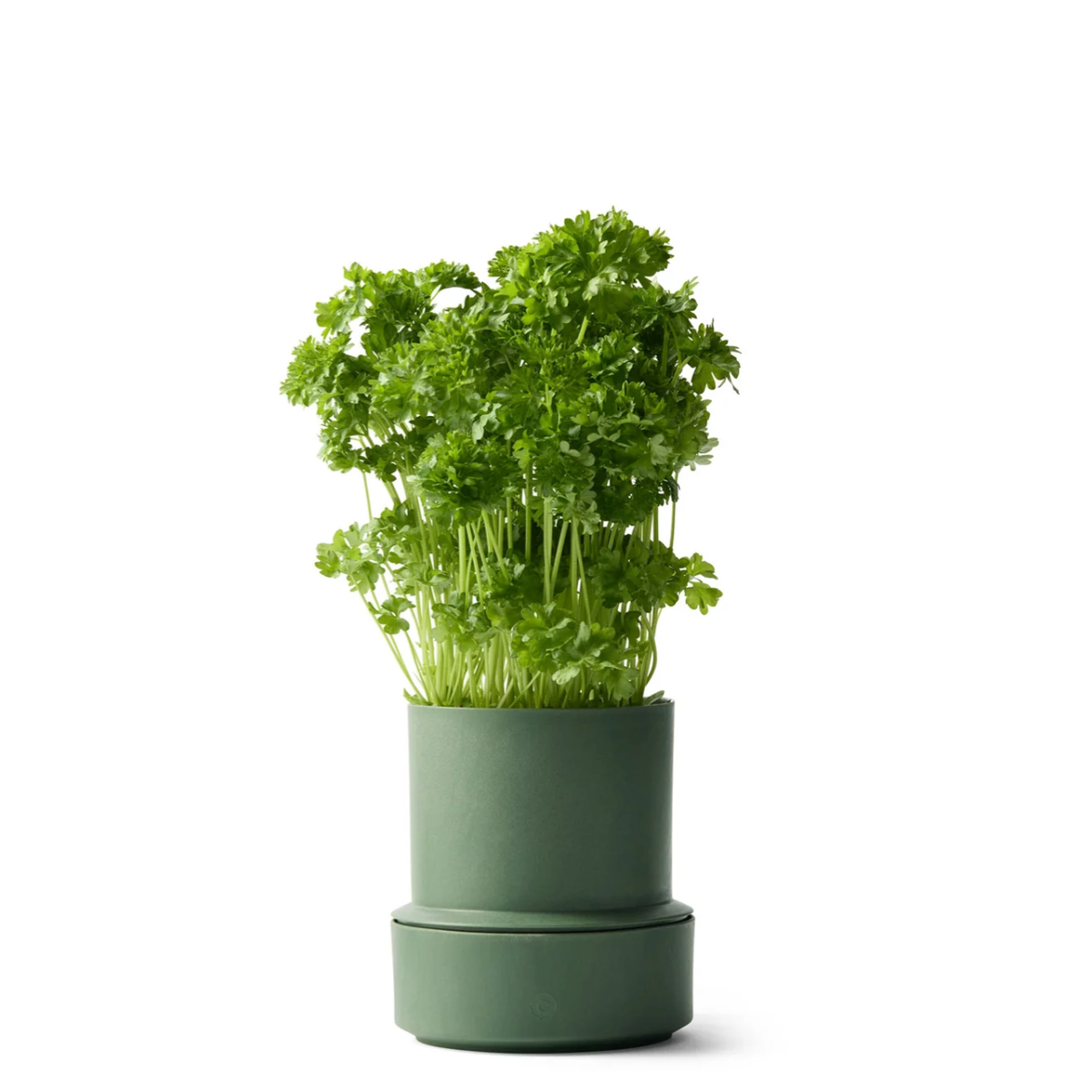 CRUSHGRIND BILLUND SELF WATERING POT