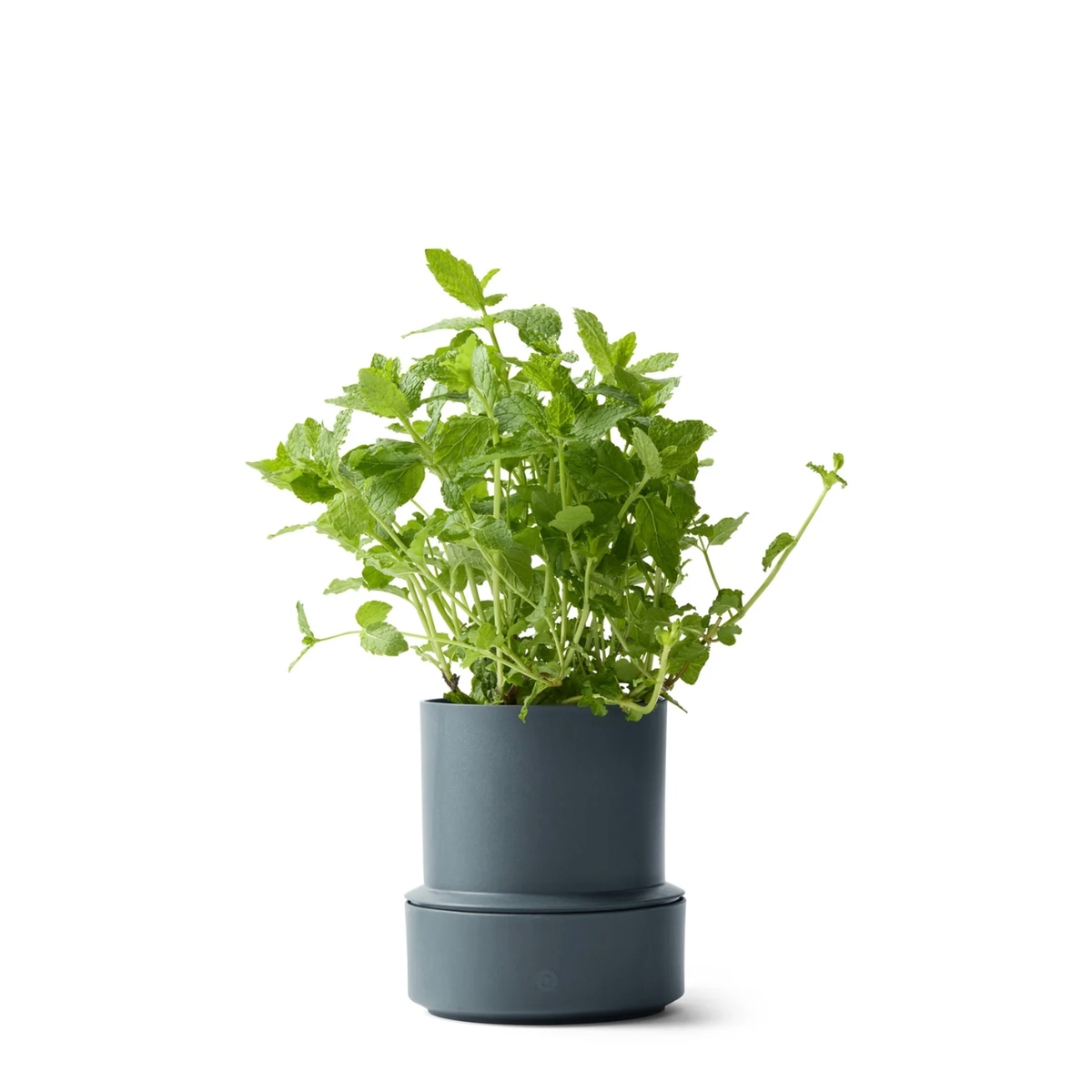 CRUSHGRIND BILLUND SELF WATERING POT