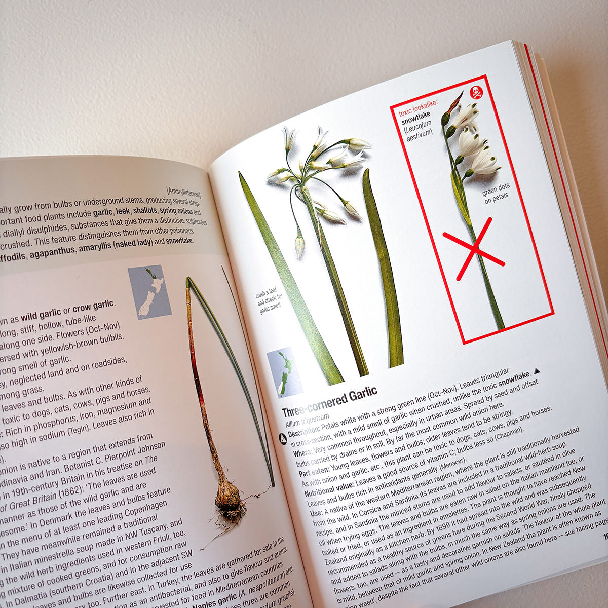 EDIBLE WEEDS HANDBOOK