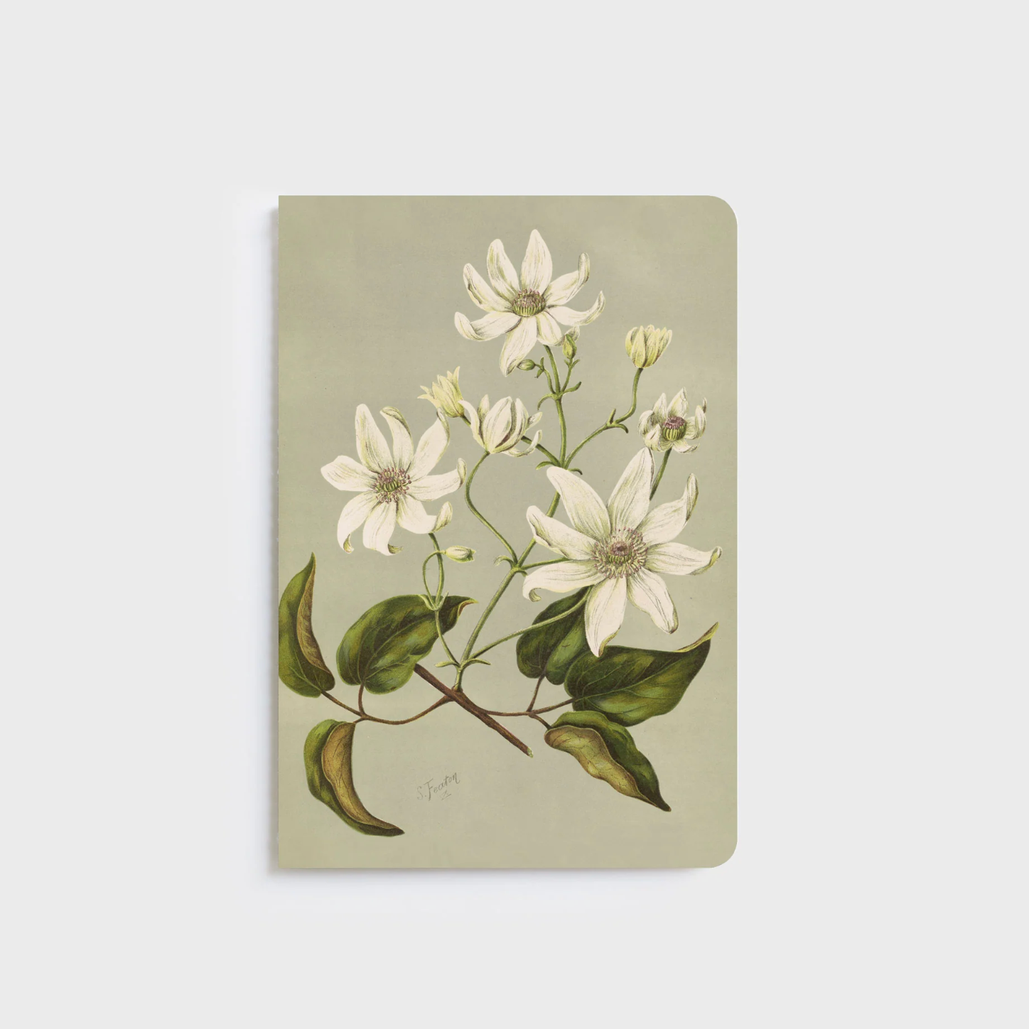FATHER RABBIT STATIONERY | A5 NOTEBOOKS