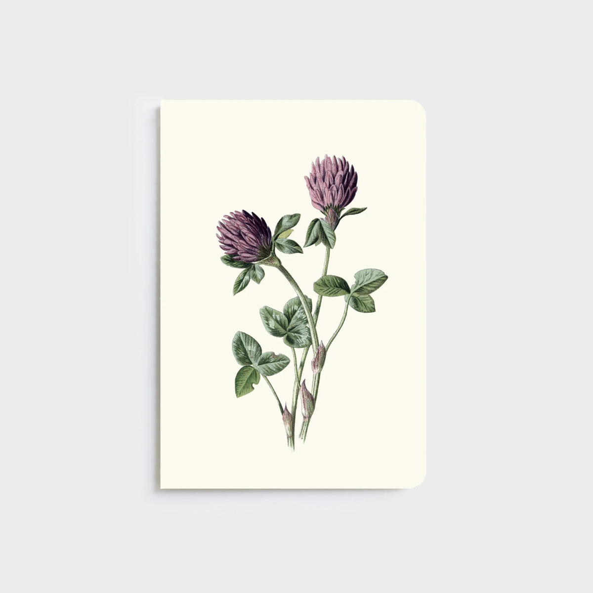 FATHER RABBIT STATIONERY | A5 NOTEBOOKS