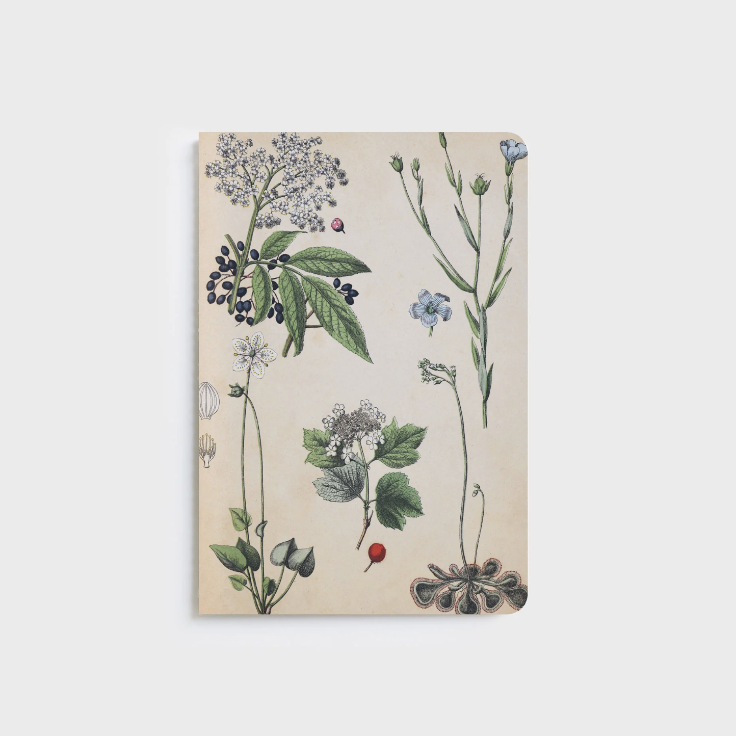 FATHER RABBIT STATIONERY | A5 NOTEBOOKS