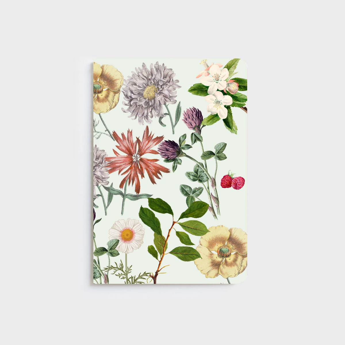 FATHER RABBIT STATIONERY | A5 NOTEBOOKS